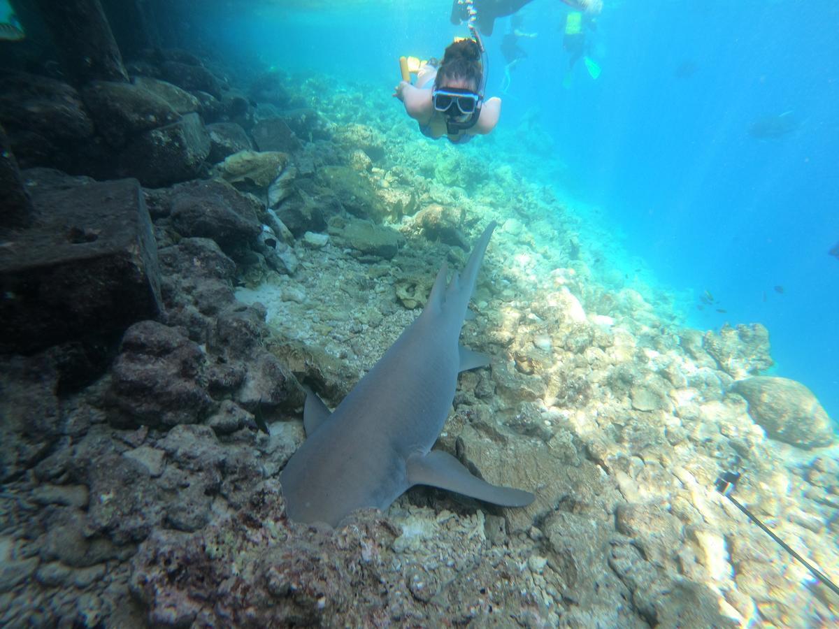 White Sand Lodge Maafushi Bagian luar foto